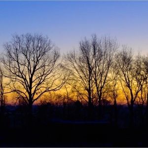 Meet your Posher, Qarii